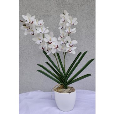 Orchidea real touch