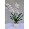 Orchidea real touch