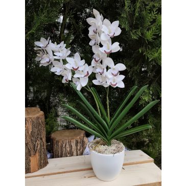 Orchidea real touch