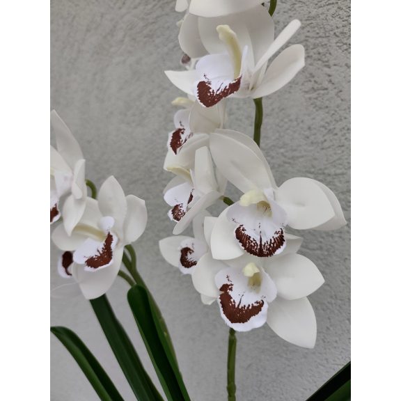 Orchidea real touch